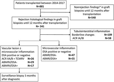 Intimal Arteritis and Microvascular Inflammation Are Associated With Inferior Kidney Graft Outcome, Regardless of Donor-Specific Antibodies